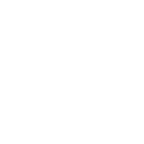 PM Risk Guard logo